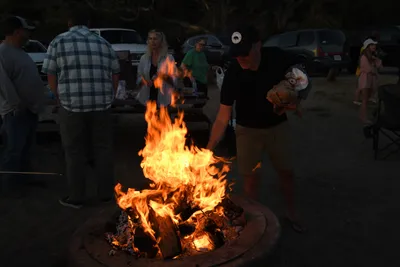 DSC_4151 (Large).JPG